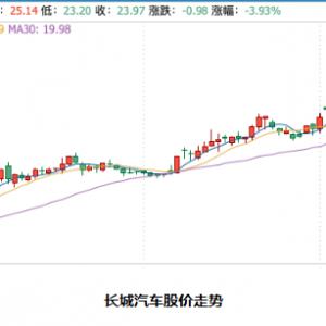 长城汽车市值破2000亿背后：全方位转型变革锁定胜局