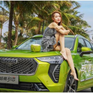 超值预售，开启你与哈弗初恋的平安夜派对