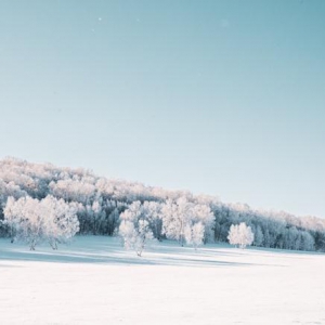 穿林海，跨雪原——哈弗H9乌兰布统之旅