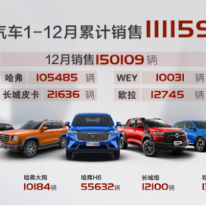 网红产品加持 创新营销赋能 长城汽车2020年销量超111万