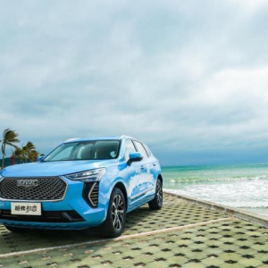 哈弗初恋：你的初恋有我甜吗？