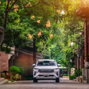 踏青好时节 哈弗F7带你花样游遍自驾圣地