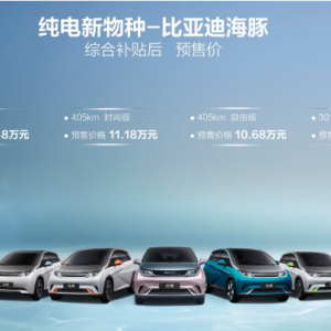 秀颜值，也要秀肌肉，e平台 3.0首款车型，比亚迪海豚预售价格9.68万元-12.48万元 ...