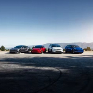 过年回家开什么车？特斯拉车主：省时又省钱，太香了！