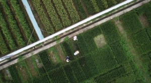 迎政策利好 江西五十铃翼放轻卡助力“三农”建设