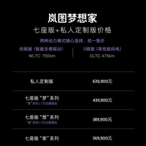 “电动豪华旗舰MPV”岚图梦想家上市 36.99万元起售