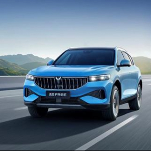 全面高品质助力岚图FREE站稳高端新能源赛道