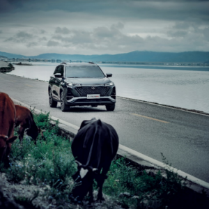 为什么越来越多的人拒绝合资？  第二代CS75PLUS和CR-V的对比说明一切 ... ...