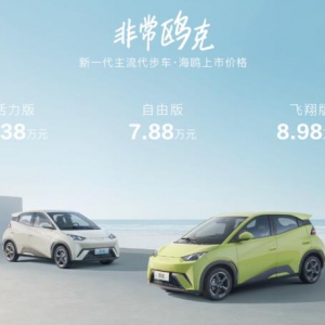 7.38万元起 续航305/405km海鸥全系标配4气囊+快充 卷出天际