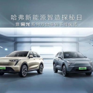 哈弗枭龙系列万台车辆重磅下线，凭智造实力制胜新能源未来 ...