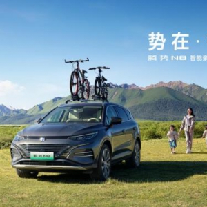 感恩十万用户，腾势N8正式上市，并加推D9 DM-i 965尊享型